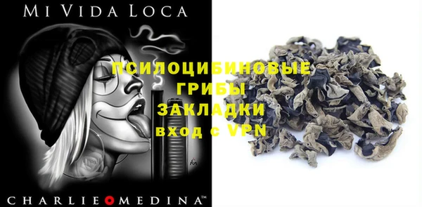 шишки Верхнеуральск