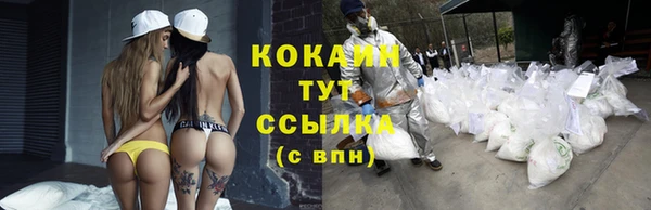 шишки Верхнеуральск