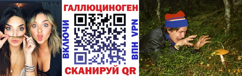 закладки  Серпухов  Псилоцибиновые грибы мухоморы 